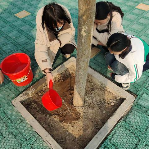 “植”此青绿，“树”写春天——卫辉市上乐村镇武庄完全小学植树节活动