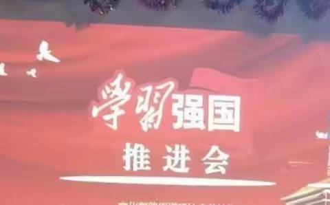 鲍山街道胥家庄村开展“学习强国”推广活动