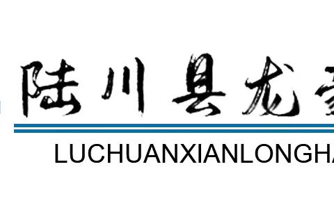 陆川县龙豪小学2023年文明礼仪教育在线答题