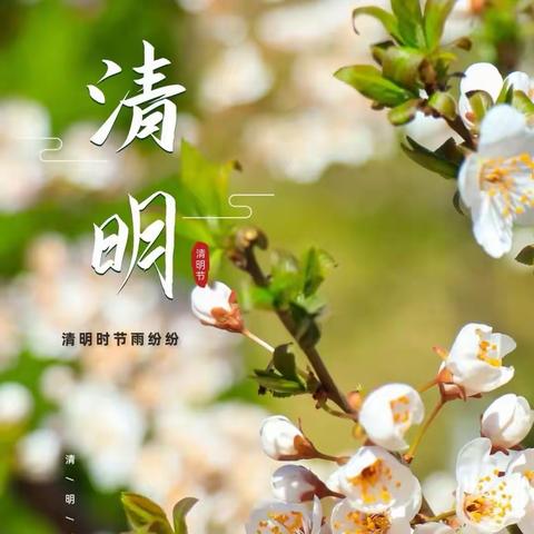 三关中学清明节假期致家长一封信