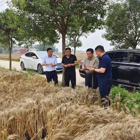 通许县冯庄乡“三夏”抢收保丰收