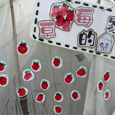 小“莓”好—尹山湖实验幼儿园独墅湾分园小（1）班课程故事