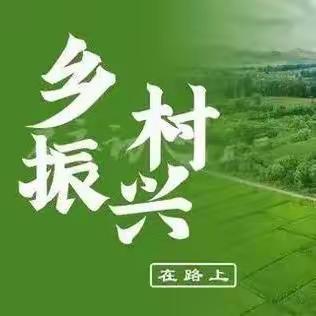 乡村振兴路先行   村容村貌换新颜