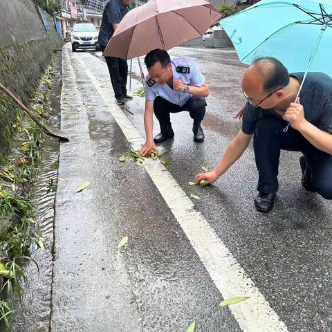 【宁陕税务】政治机关建设我们在行动（六）实施惠民建设暖心工程——宁陕税务蓝 秦岭绿卫士