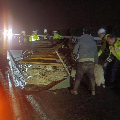 【乐陵路管中心】60只羊闯高速，路警联动抓羊忙