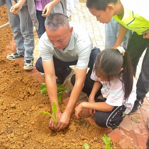 “劳动砺心智，实践促成长”——记寻乌县晨光中心小学劳动教育基地实践活动