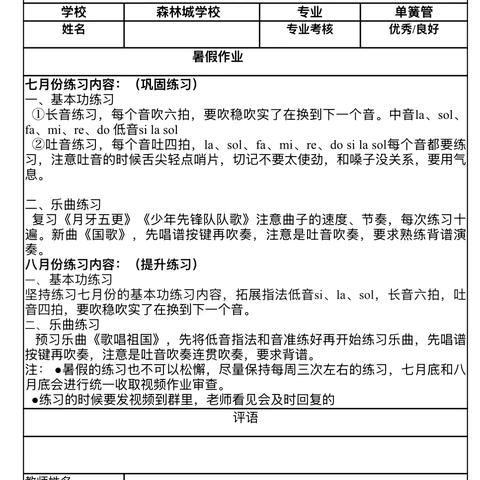 合肥南小森林城黑管暑期作业