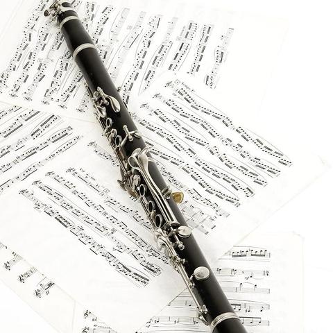 合肥市师范附小单簧管暑假作业～