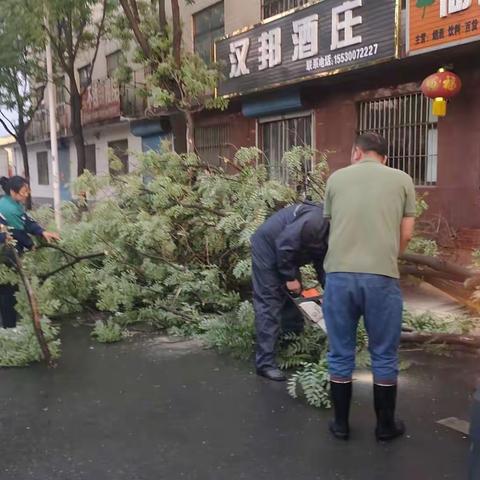 雨中“搀扶”行道树   绿化修复焕生机