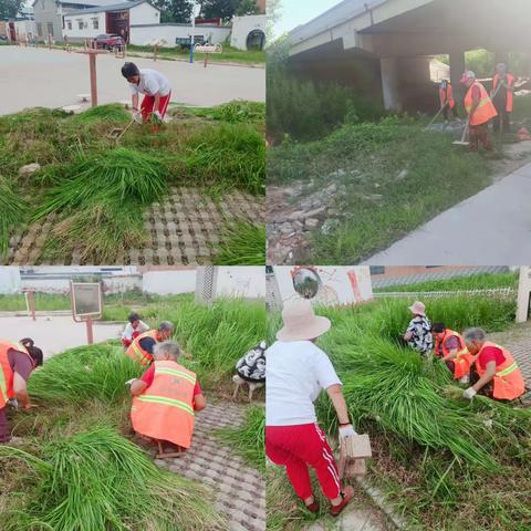 南蒲街道“杂草大清理，街面大整治”