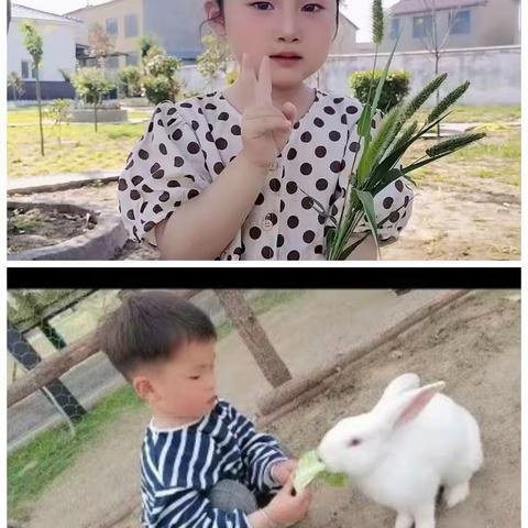 半楼幼儿园招生开始啦