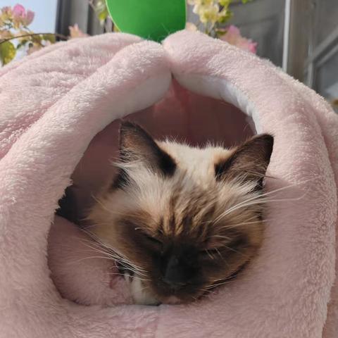 用户10151930的简篇