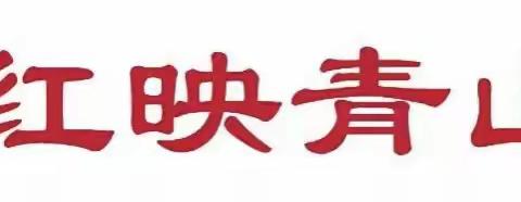 大青山党建工作区开展“擂台比武”暨半年总结观摩交流活动