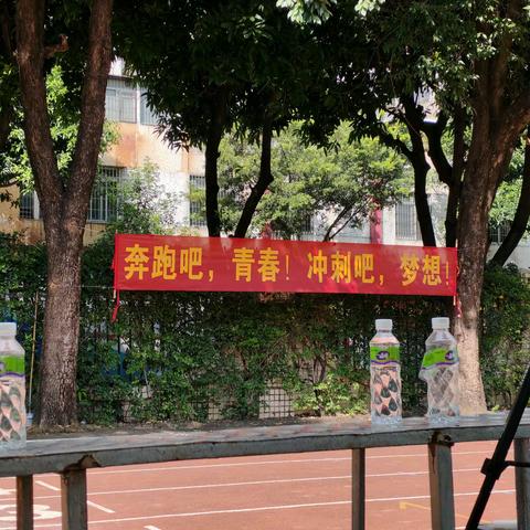 燃情培英展风采，澎湃青春正当时 ——江门市培英初级中学举行第53届阳光体育运动会