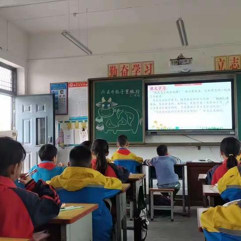 花木争荣秀，风华正当时 ——杜康中心小学青年教师公开课