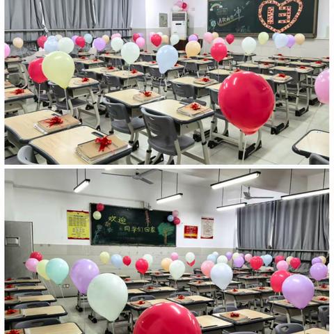 欣欣向“龙”，如约而至