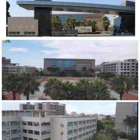 2024—2025学年度第二学期 期末工作总结