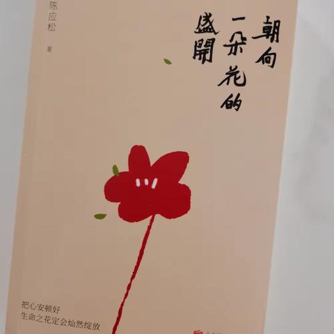 《朝向一朵花的盛开》