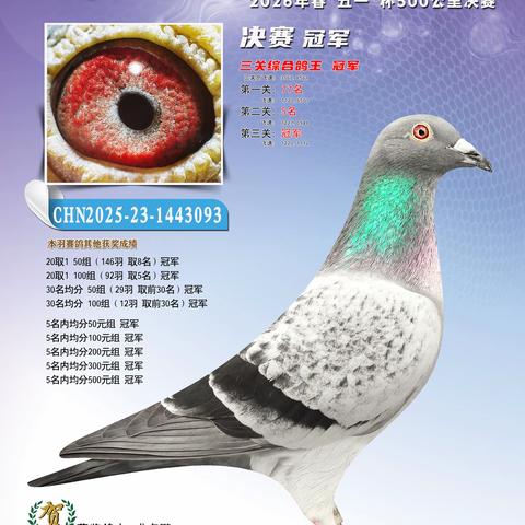 七星关博翔赛鸽俱乐部2026春500公里决赛获奖鸽