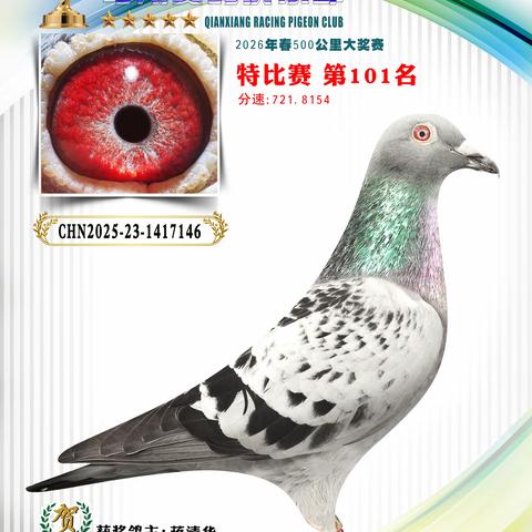 大方县骞翔赛鸽俱乐部2026年春500公里进奖鸽（101~149）及小环前十名