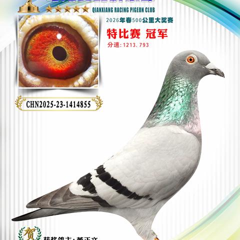 大方县骞翔赛鸽俱乐部2026春500公里进奖鸽（1~100名）