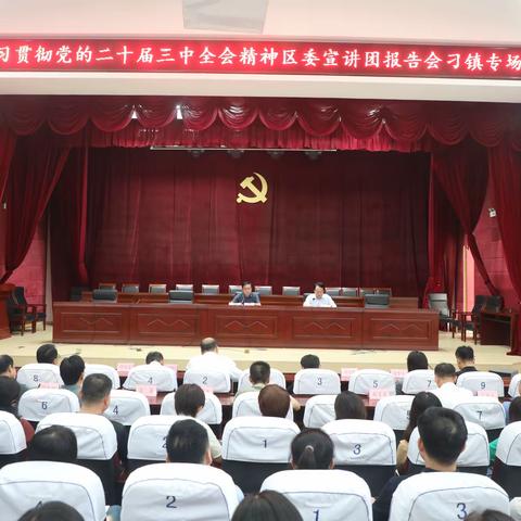 刁镇街道召开学习贯彻党的二十届三中全会精神宣讲报告会