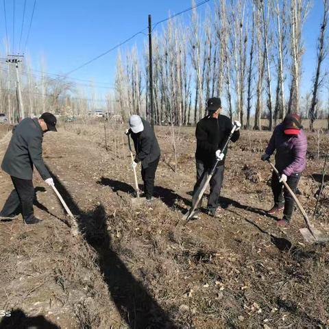 挥洒汗水美家园，齐心整治焕新颜——新湖农场二连环境整治在行动