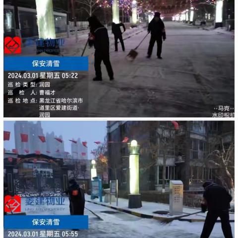 以雪为令 爱建街道组织开展清雪工作保畅通