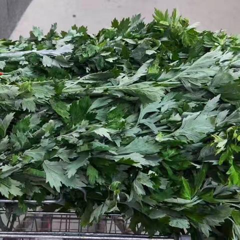 “艾草飘香迎端午 和谐幸福邻里情”