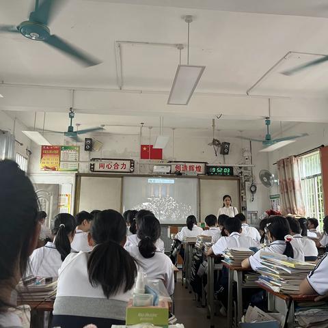 2024年天桃实验学校支教