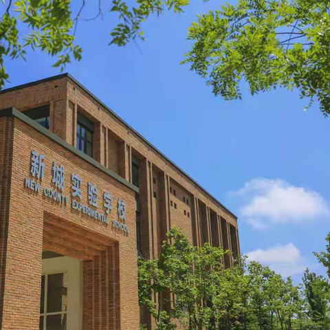 2025年旅顺口区新城实验学校 一年级新生招生通告