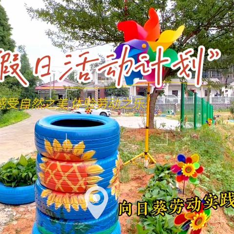 看过来~暑假社会实践活动招募中！