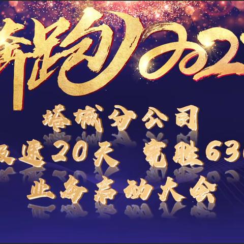 【塔城分公司大个险渠道召开“极速20天 完胜630”业务启动大会】