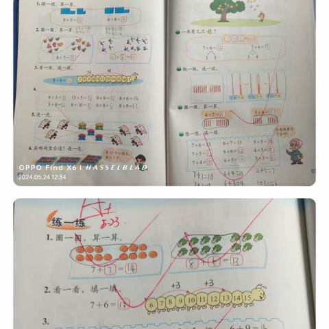 学前班本周的学习内容