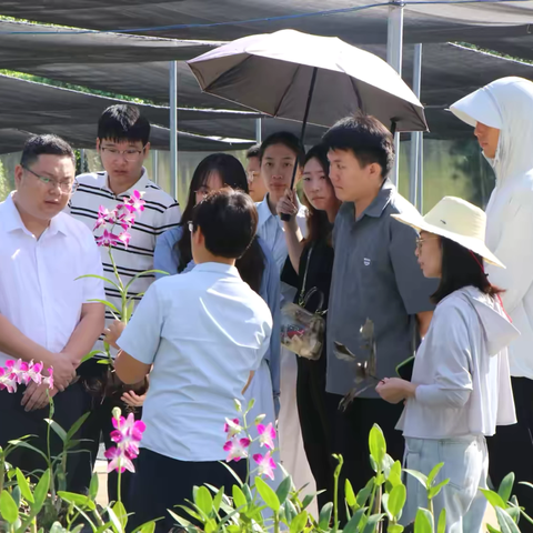 青干讲习助力干部成长--牙叉镇赴打安镇开展交流学习活动