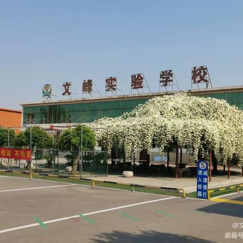 重要通知 兰陵县文峰实验学校招 九年级复读生