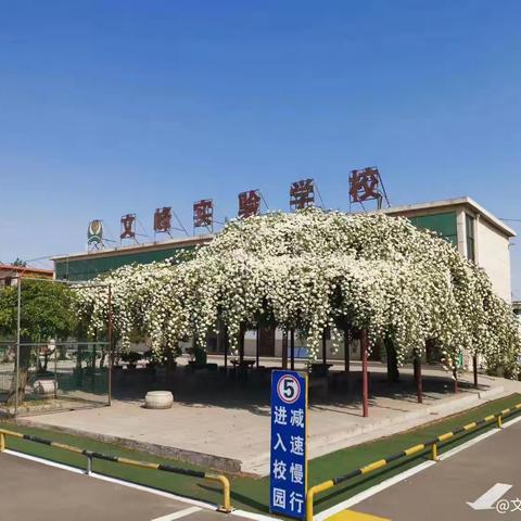暑假托管班 兰陵县文峰实验学校