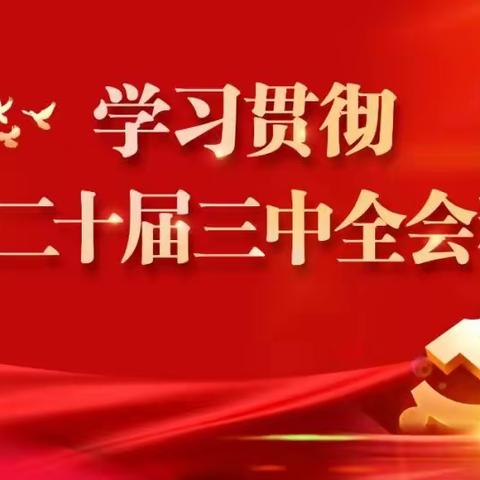 梯队建设井然有序   非公党建再上台阶