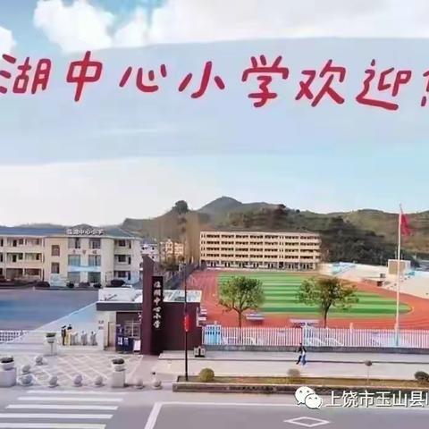 满载收获，扬帆起航——临湖中心小学见习教师培训总结