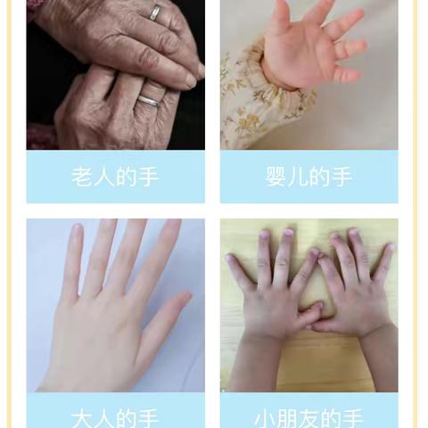 小一班班本课程———能干的小小手👋