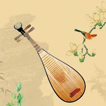 珠落玉盘 掷地有声 ﻿——龙泉小学琵琶中阮社团活动展示