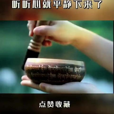 音你而来 音你而安