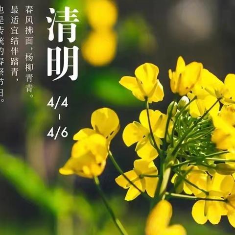 清明祭祖：一场跨越时空的能量对话与觉醒仪式