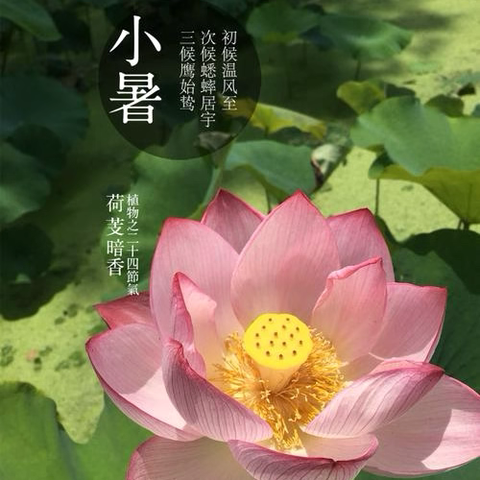 【节气篇】小暑至•盛夏始——长岭县第一幼儿园大四班