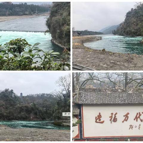 庄婧沂成长手册（五年级下册）