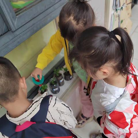 大班“谷雨”节气主题活动