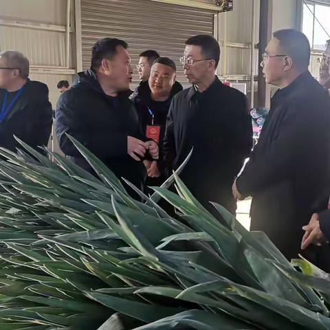 区人大常委会调研全区农业“6+1”特色板块提质增效推进情况