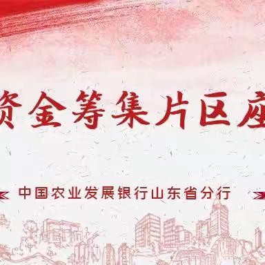农发行山东省分行成功举办支农资金筹集片区座谈会