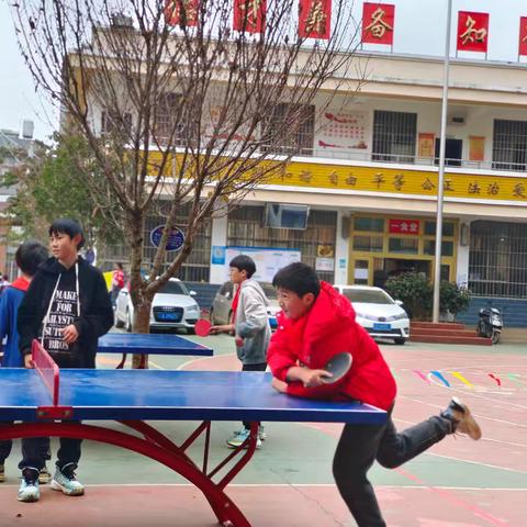 校园乒乓球活动：运动与成长的活力舞台