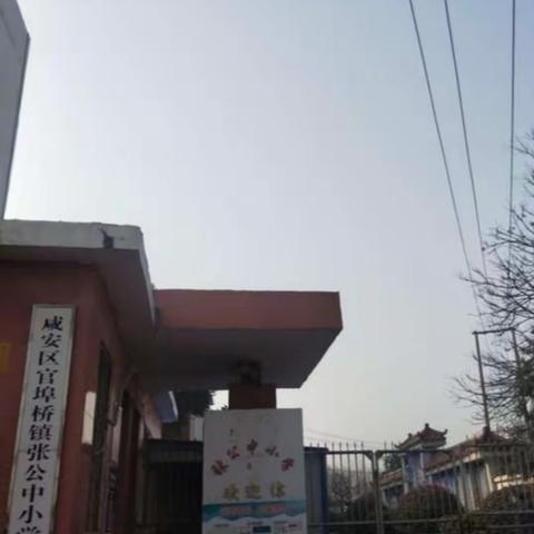 携手共进——张公学校2023小语组教研活动